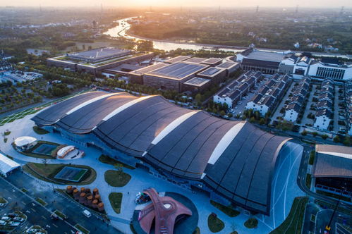 拔節(jié)生長(zhǎng) 桐鄉(xiāng)7年間數(shù)字經(jīng)濟(jì)企業(yè)從355家增至2443家